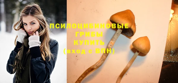 марки lsd Дмитриев