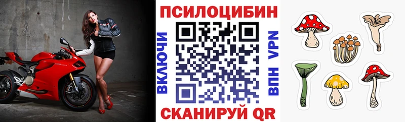 Галлюциногенные грибы Magic Shrooms  Купить где  Черняховск 