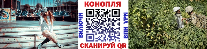 Бошки марихуана Ganja  Купить закладки  Черняховск 